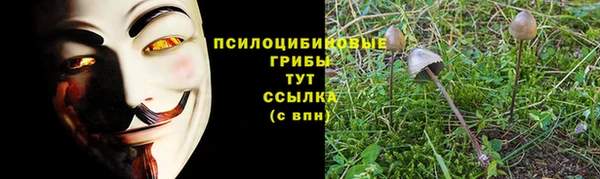 марки lsd Осинники